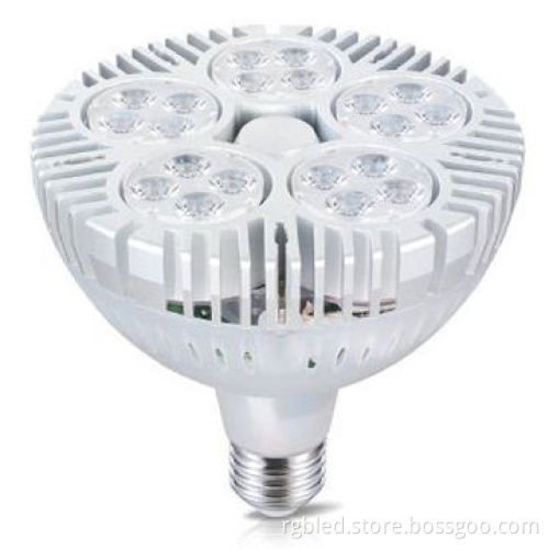 PAR30 LED Bulb, 45W, E27, 16pcs Cree XPE LED, AC 85-260V, 70-80lm/WattNew